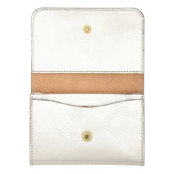 Galileo Men's card case in metallic leather color metallic silver